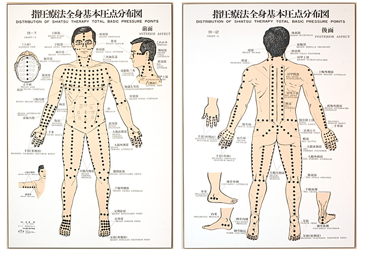 shiatsu body