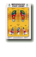 foot chart